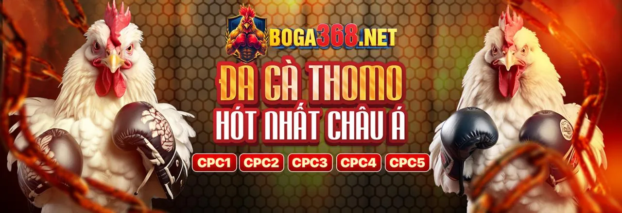 Đá Gà Trực Tuyến QH77